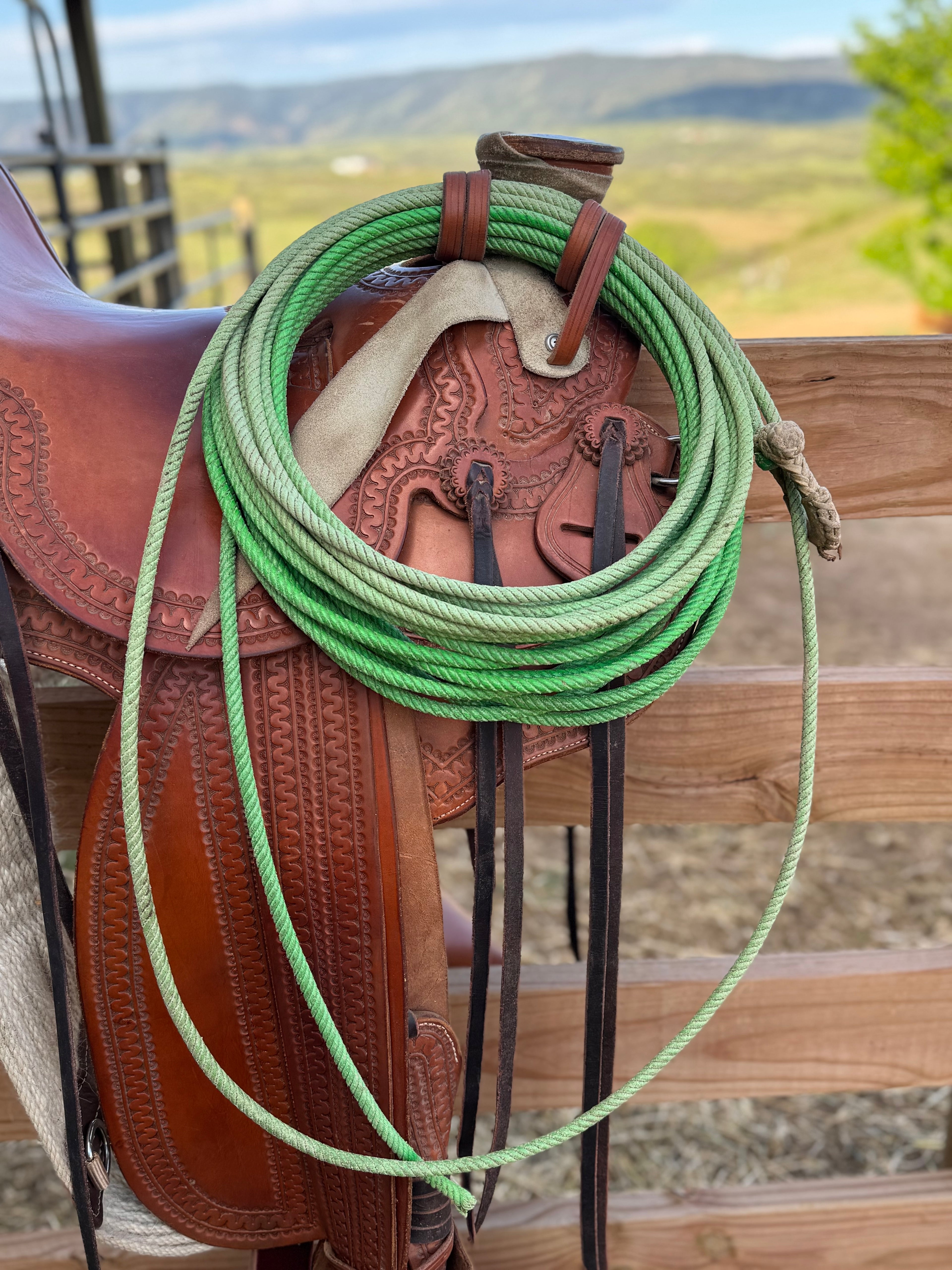The BKH Signature Set: The Stockman