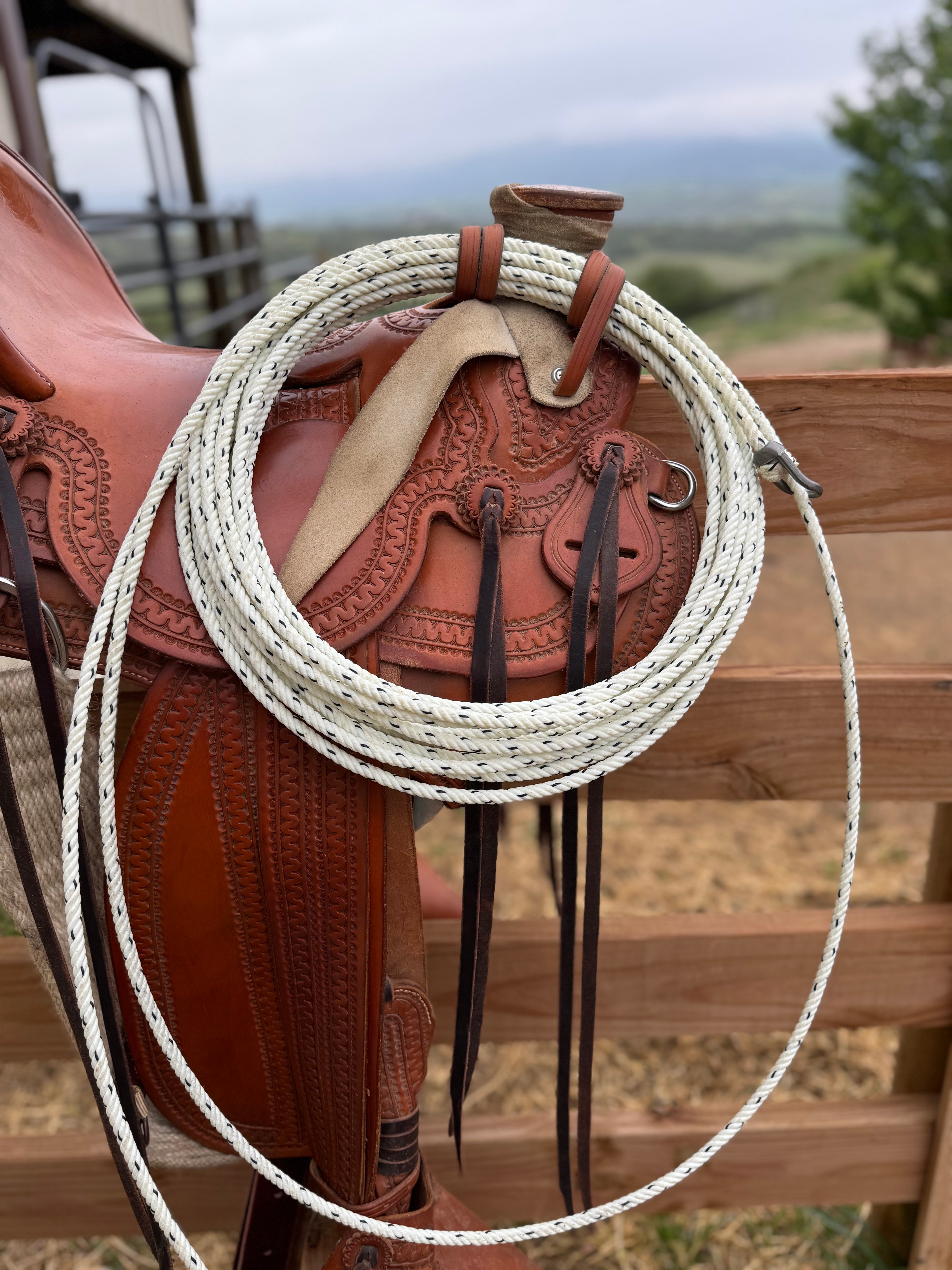 The BKH Signature Horse Rope: The Horseman