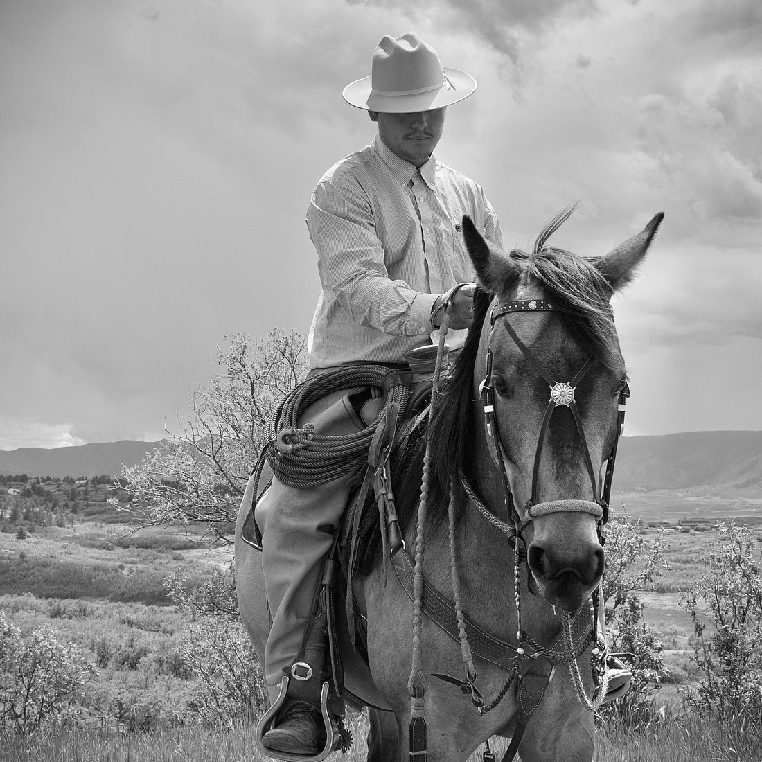 How To Rope a Horse's Feet