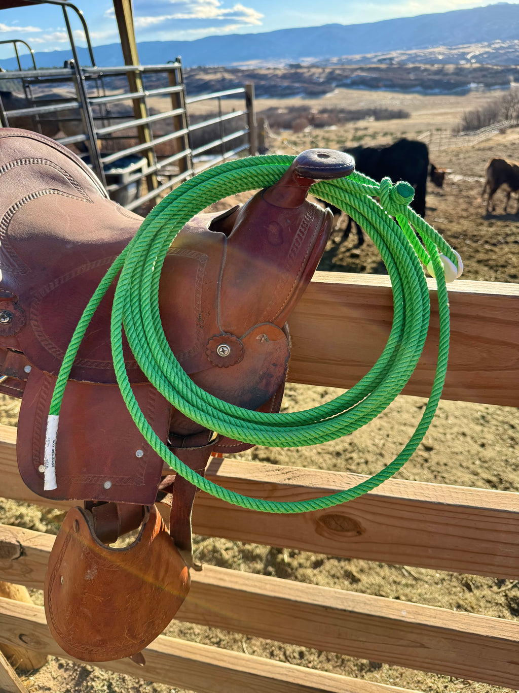 BKH Kids Ropes