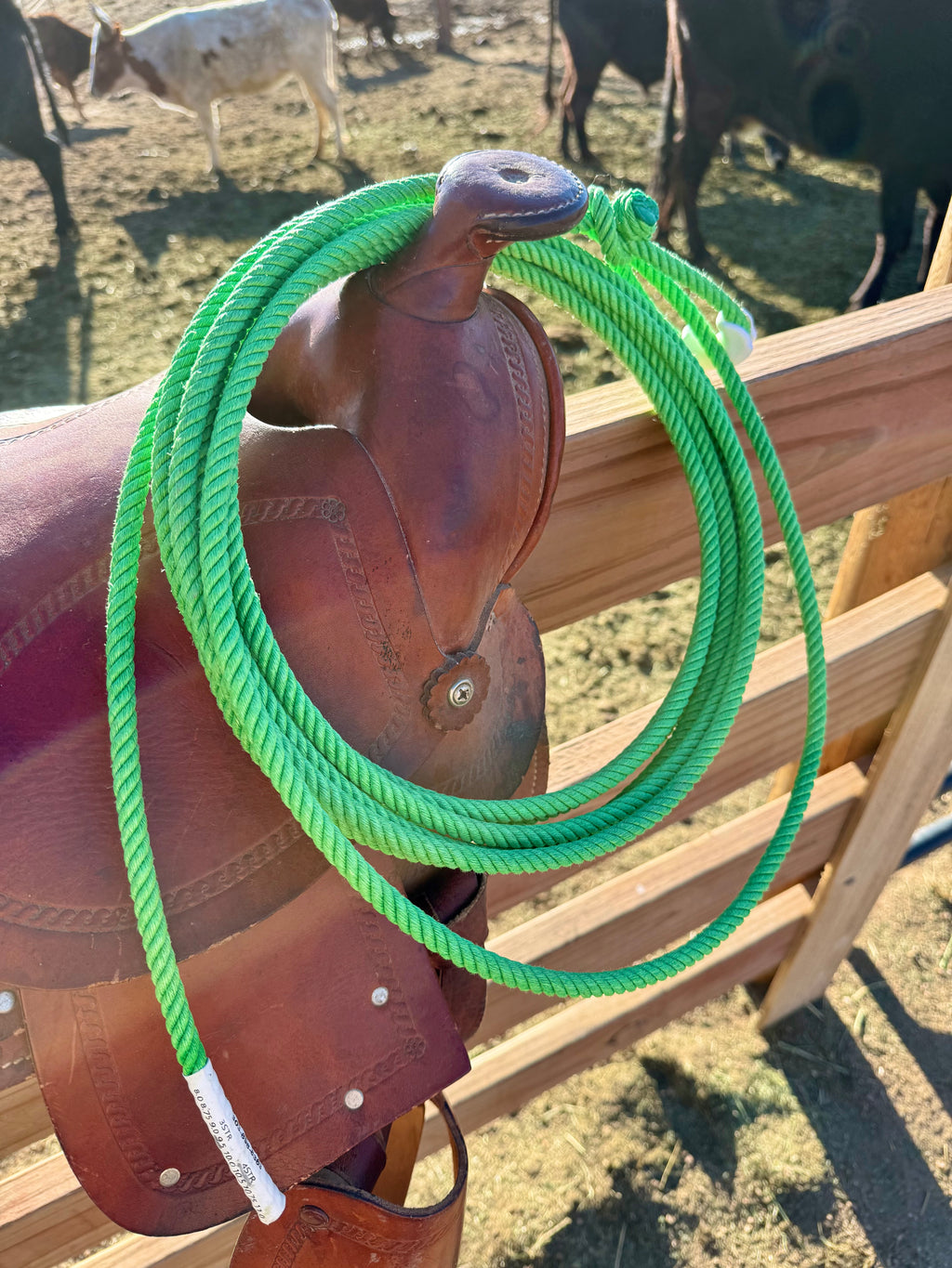 BKH Kids Ropes