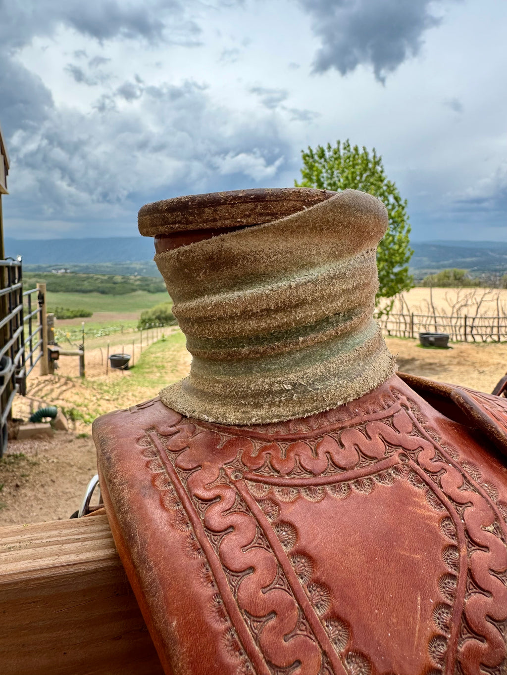 Mule Hide Horn Wrap